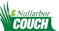 Nullarbor Couch Turf