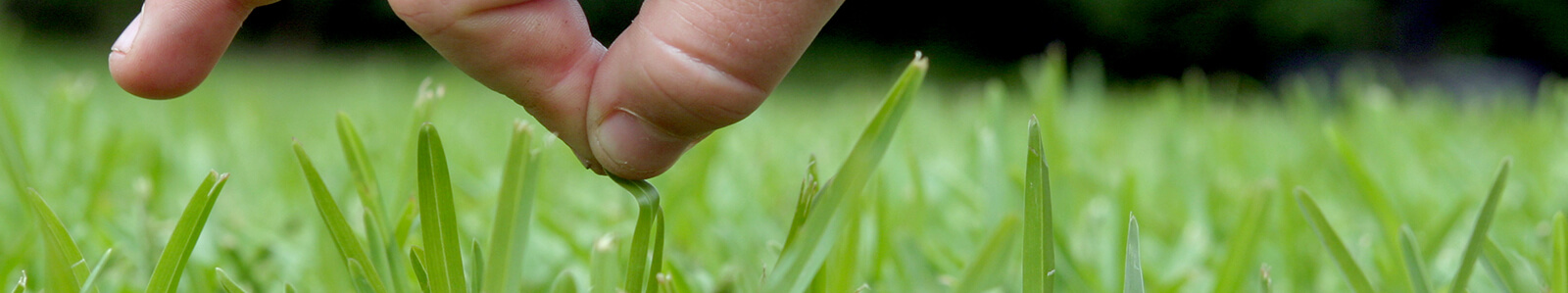 Site Preparation - Sydney Lawn & Turf Supplies