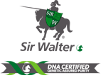 Sir Walter Turf