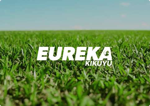 Eureka Kikuyu PBR Turf