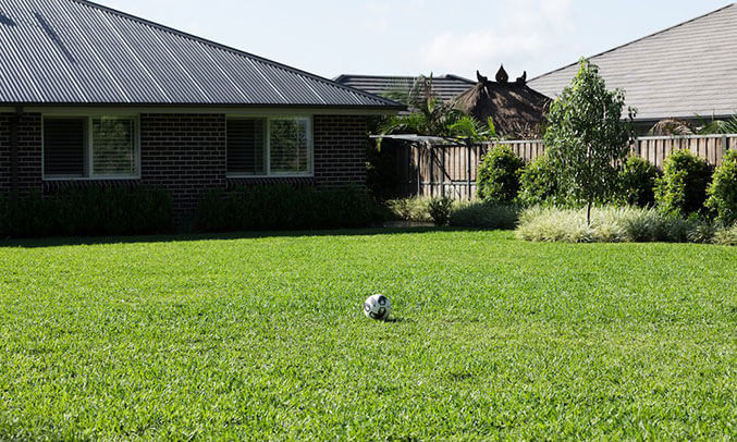 Impressive Lawn Cover Density