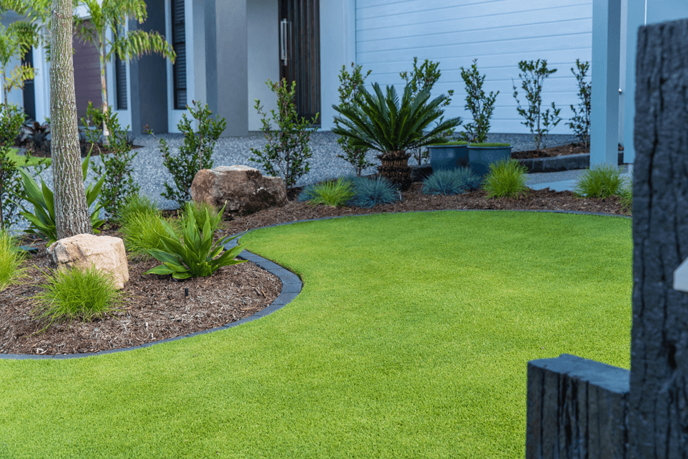 Tiftuf Bermuda Grass Sydney Lawn Turf Supplies