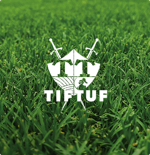 TifTuf Bermuda Grass