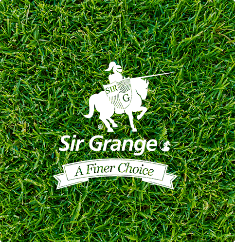 Sir Grange Zoysia