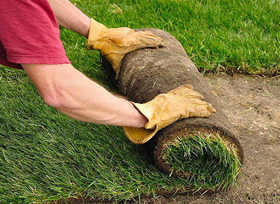 Professional Turf Installation Sydney Lawn And Turf Supplies 4096