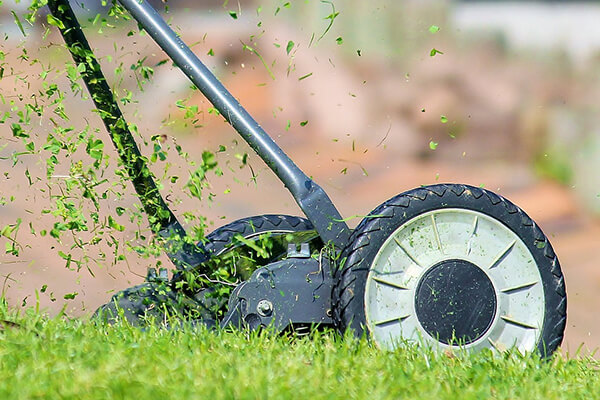 Turf Maintenance