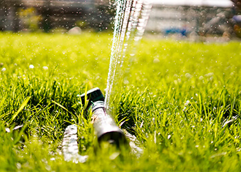 Watering Your Lawn 3