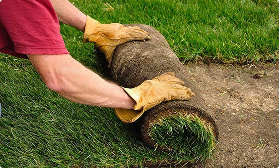 Our Turf Services | Sydney Lawn & Turf Supplies