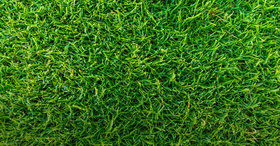 Instant Lawn Solutions Experts | Sydney Lawn & Turf Supplies