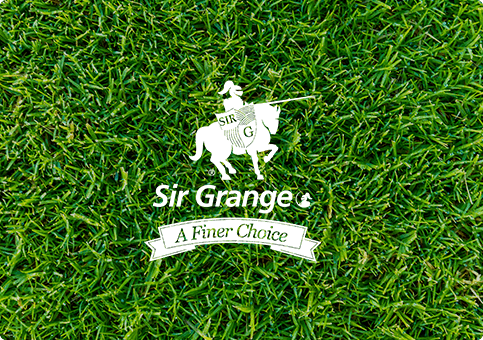 Sir Grange Zoysia