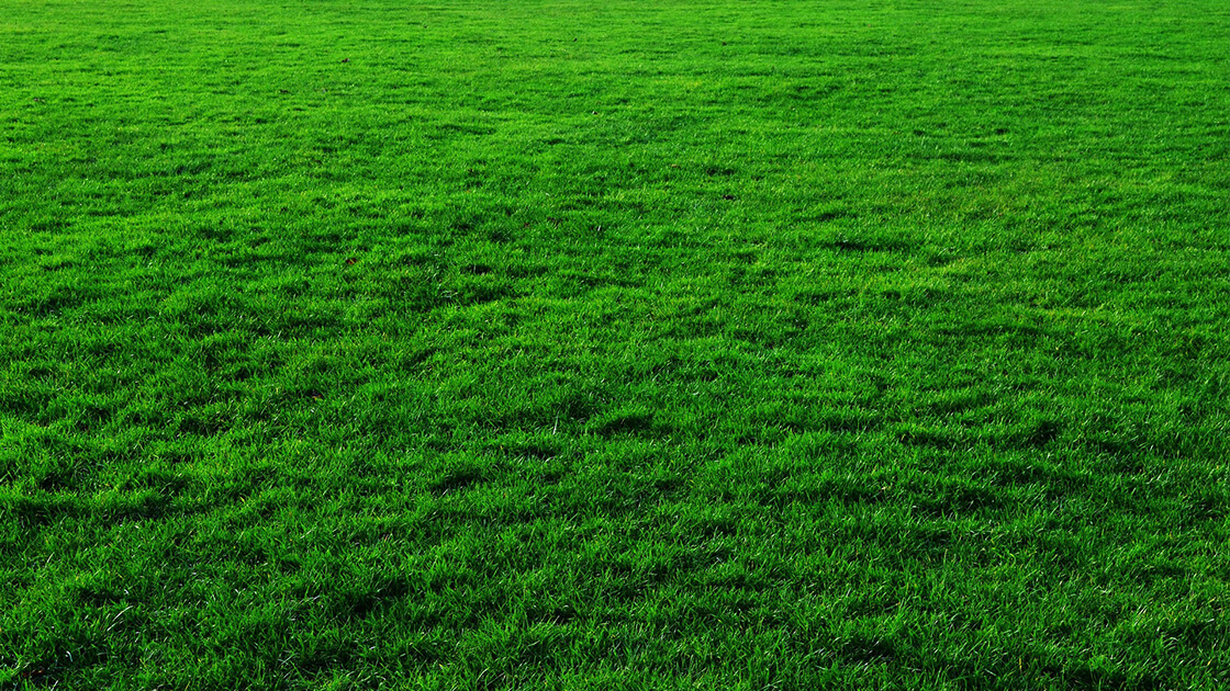 How to make your turf last longer