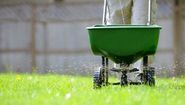 Fertilising Your Turf