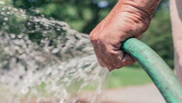 Watering Your Lawn