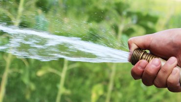 When should you water your lawn?